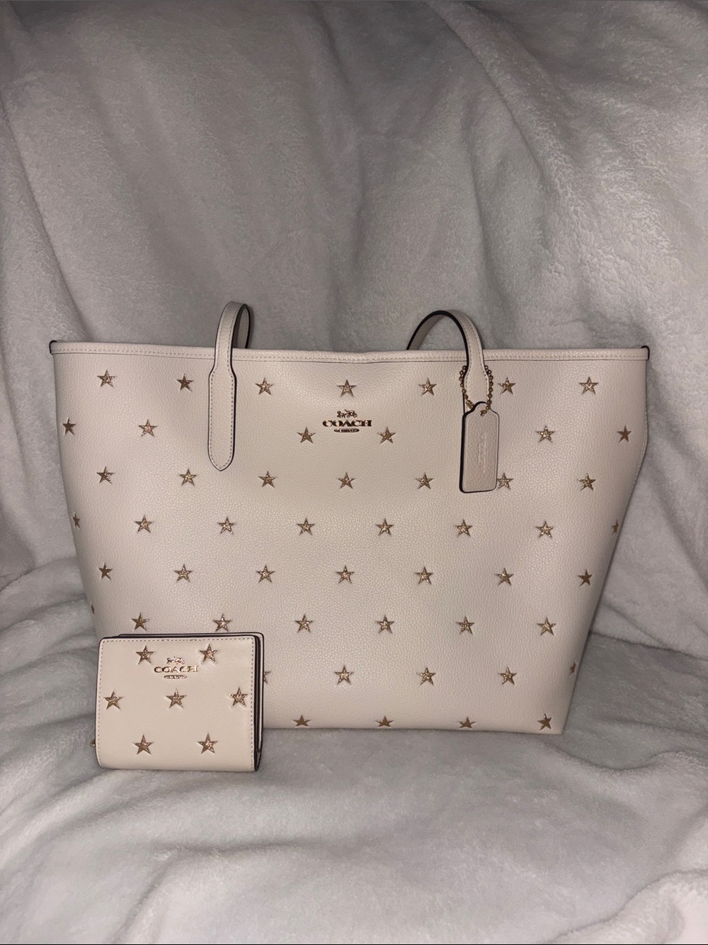 Coach Star-Stud Leather Tote and Wallet Set in Light Pink